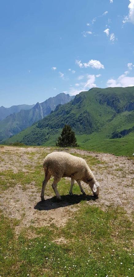 L' Aubisque Eaux-Bonnes